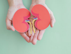 Hands holding kidney shaped paper.